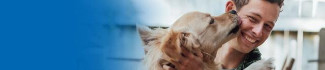 Dog licking Invisible Fence trainer.