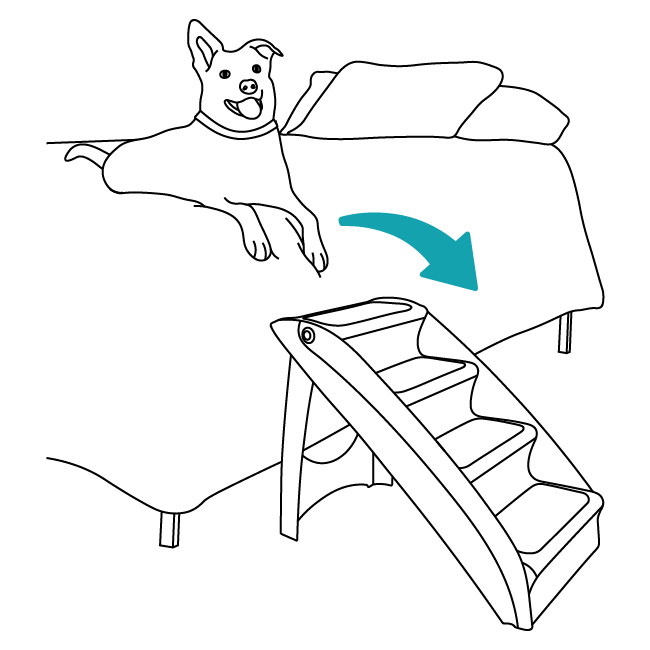 acclimate-pet-cozyup-pet-steps-illustration3