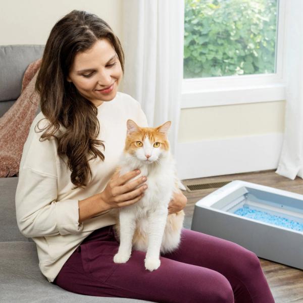 woman and cat and litter box