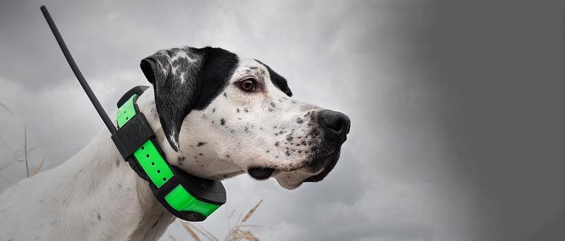 Shop Tracking products by SportDOG