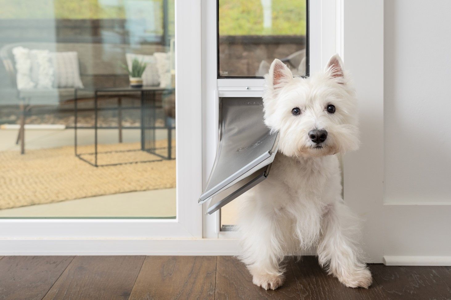 dog and extreme weather sliding glass pet door