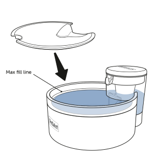 Fill Fountain with Water and Place Tray Over Bowl