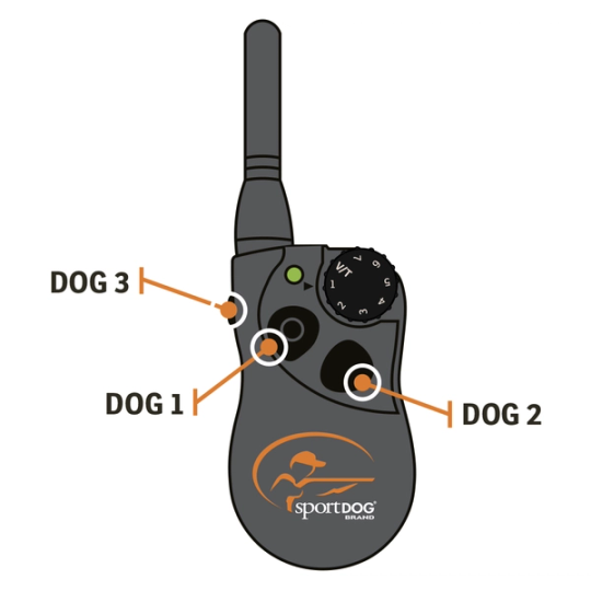 SD 425X_Multiple Dog Pairings