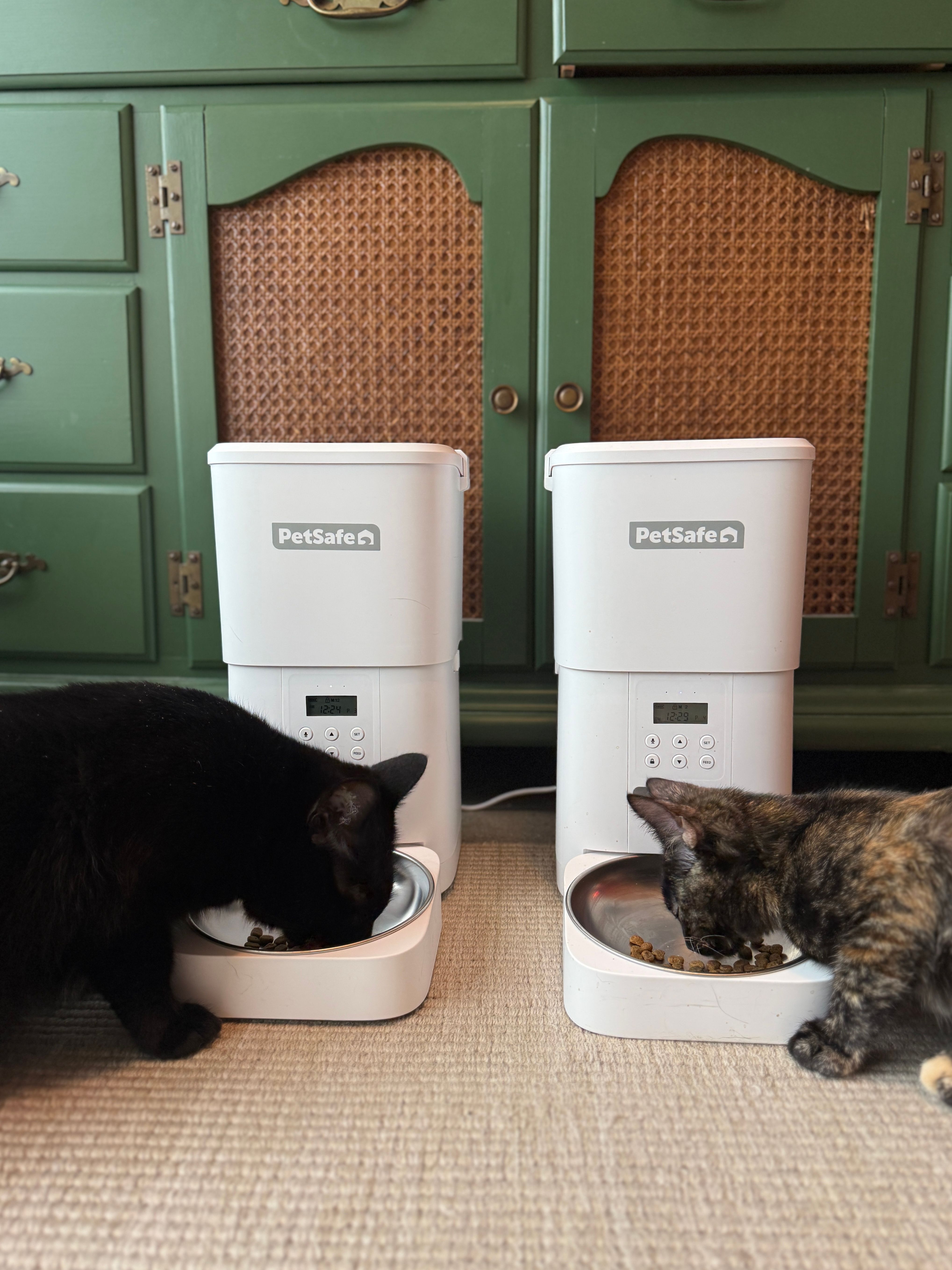 Two cats eating from separate white FlexFeed pet feeders