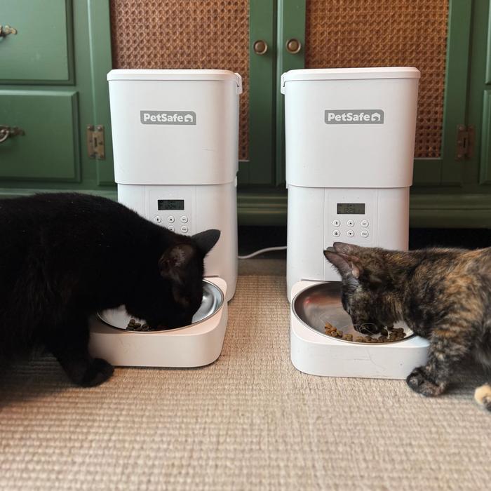 Two cats eating from separate white FlexFeed pet feeders