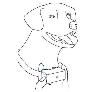 Ensure only one finger fits between the probe and your pet’s neck