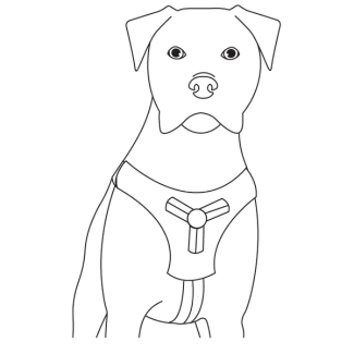 how-to-fit-walk-along-outdoor-harness-illustration2