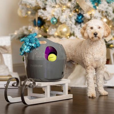 dog and ball launcher toy