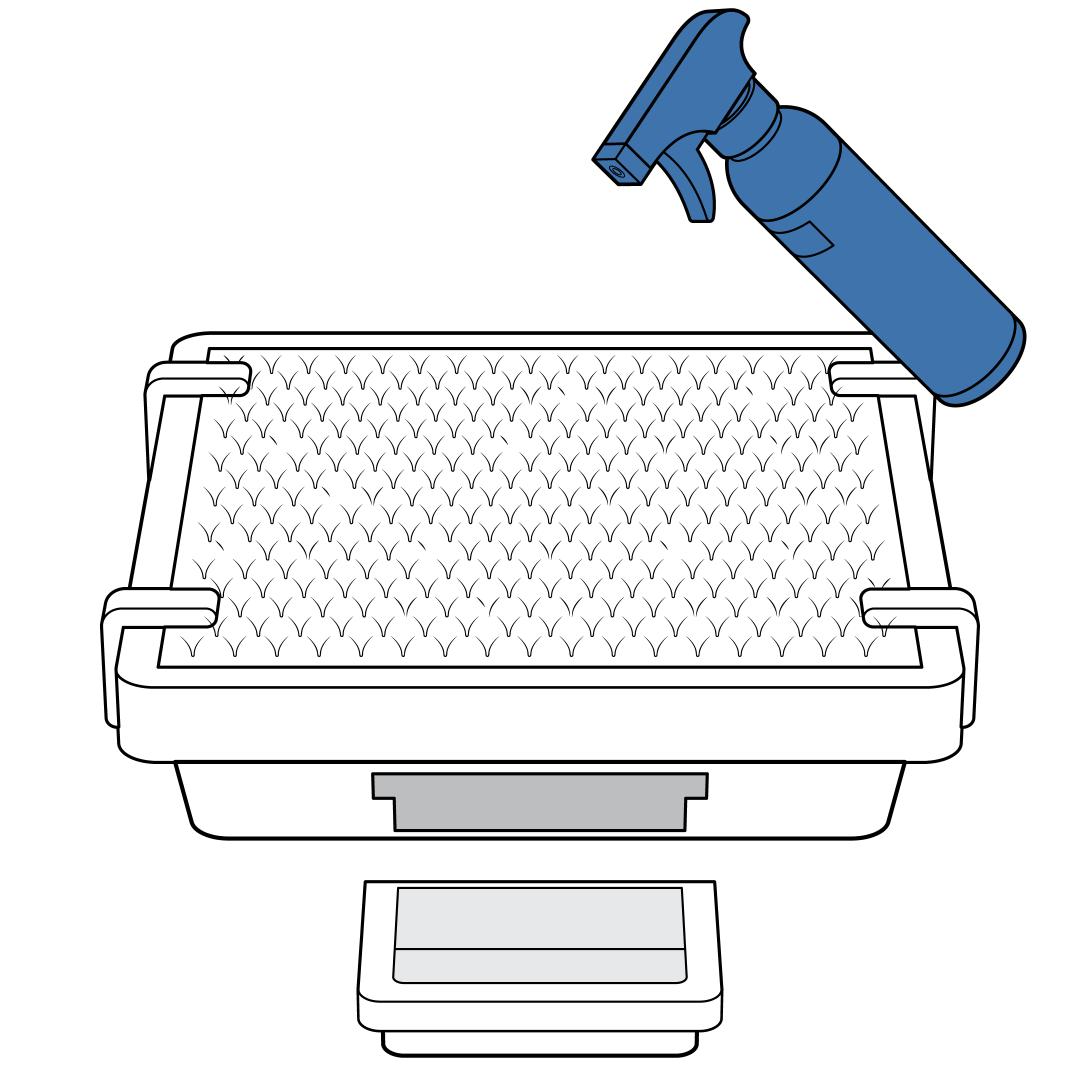 Weekly Cleaning