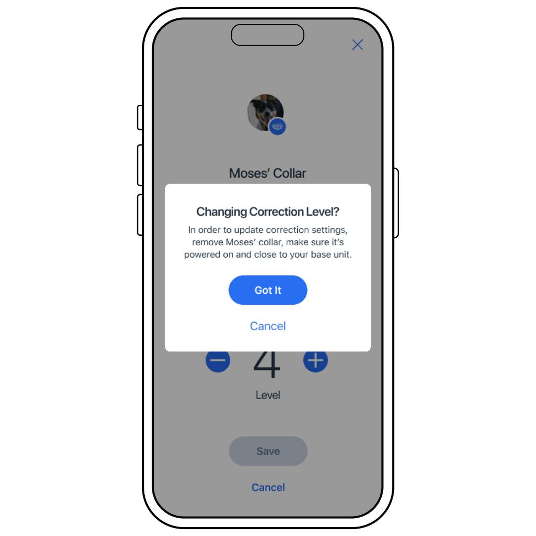 Change Correction_Modal