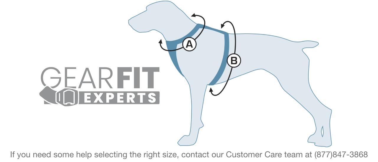 Enhanced Strength Tru-Fit Dog Car Harness