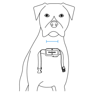 Center the probes on the neck