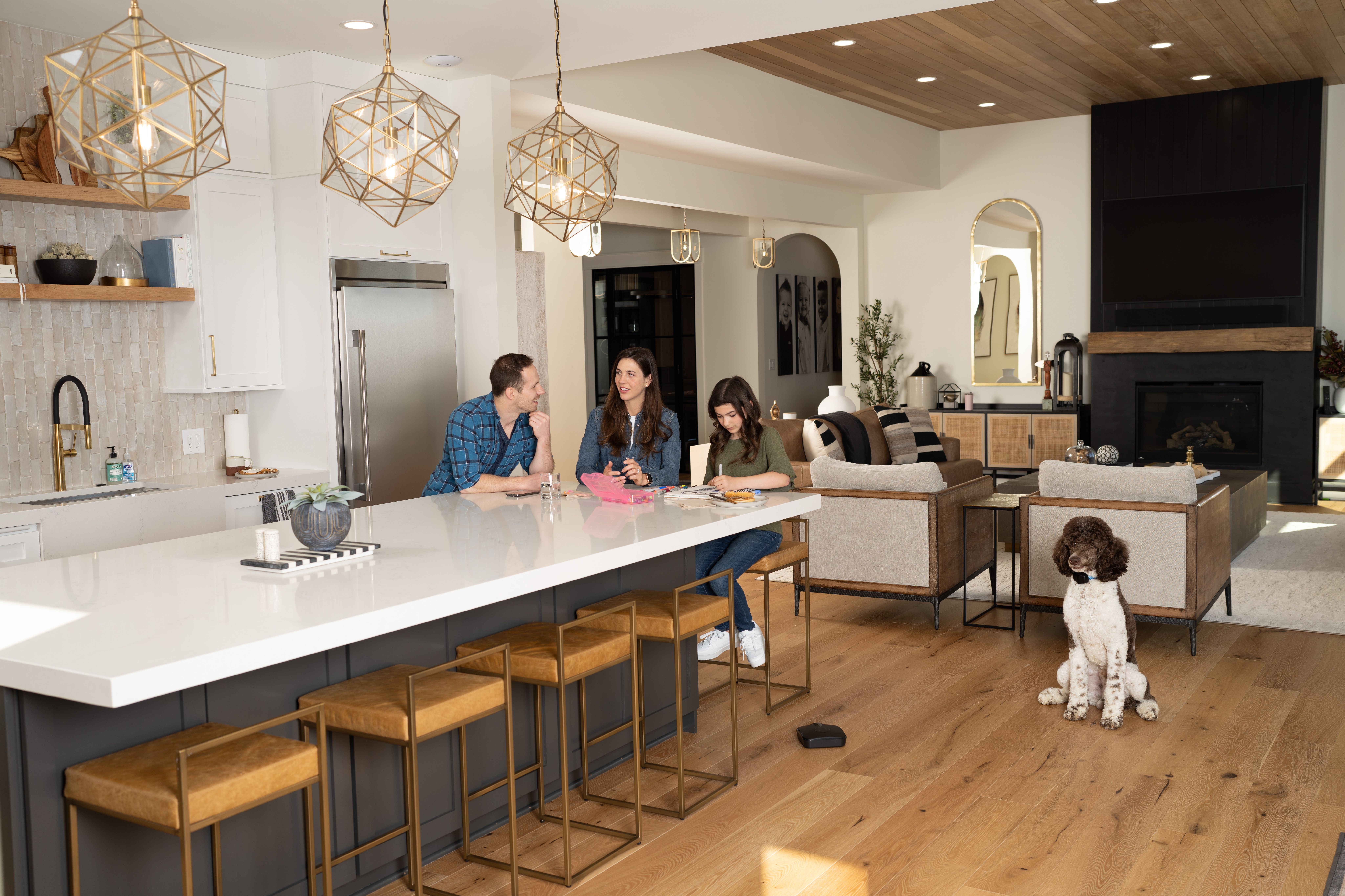 owner cooking safely in kitchen with dog resting calmly just outside the boundary