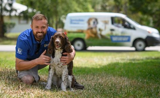 Invisible Fence trainer posing with a spaniel contained in a yard with an invisible fence
