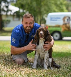 invisible fence trainer works with a spaniel in the yard