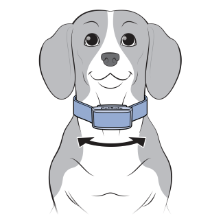 Move Collar Side To SIde On Dog