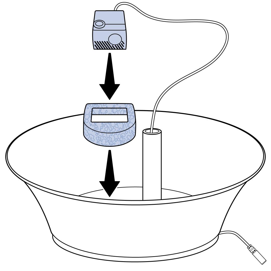 Place Foam Filter Around Pump