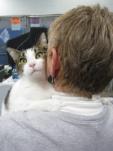 cat hugging