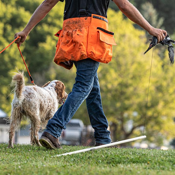 man walking dog away on leash with pigeon in hand