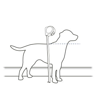 Measure & mark pet's shoulder height on wall