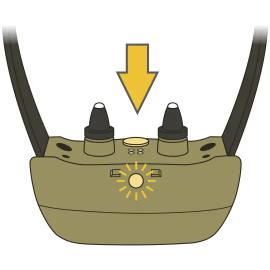 Cabela's Containment System_Power On