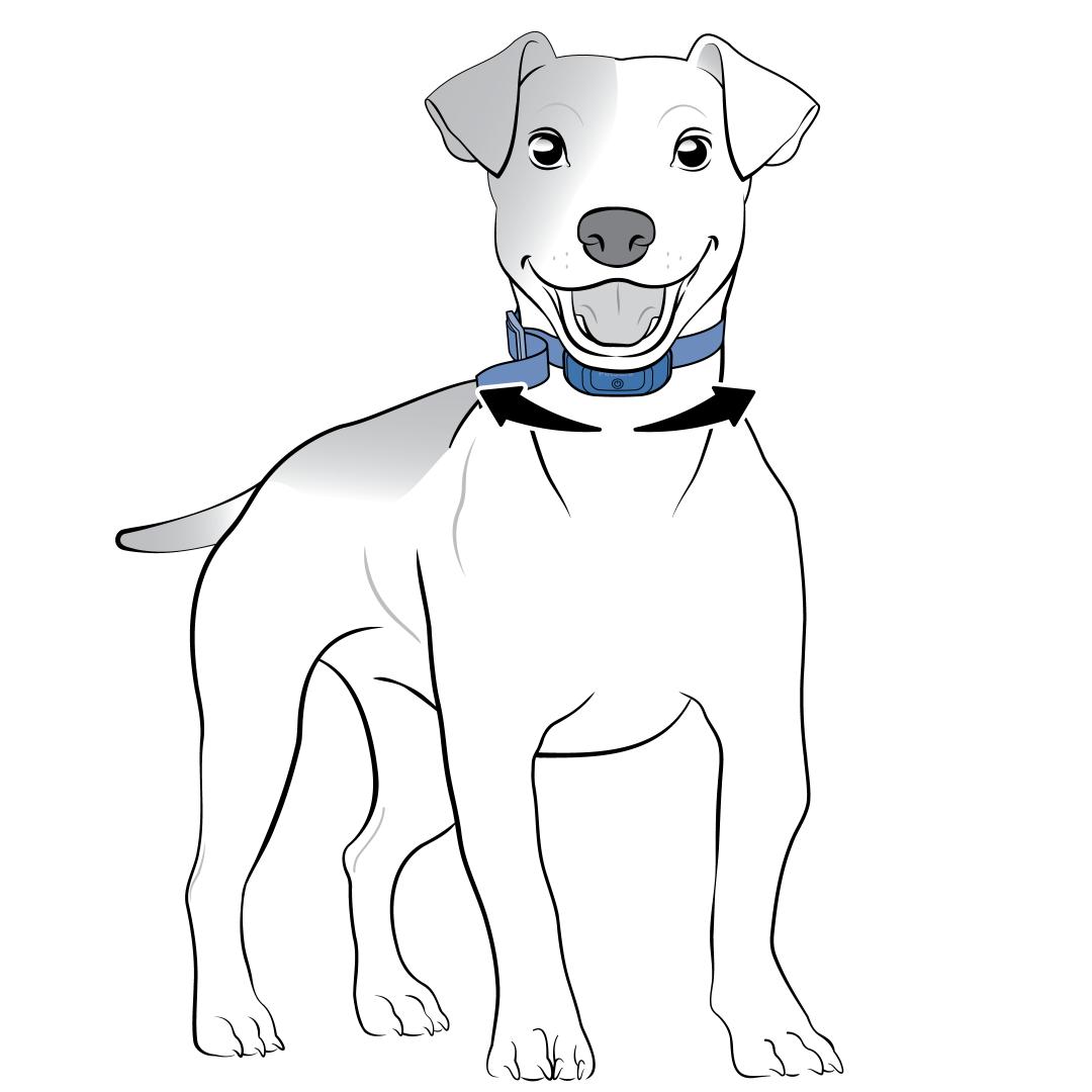 Move Collar Side To Side