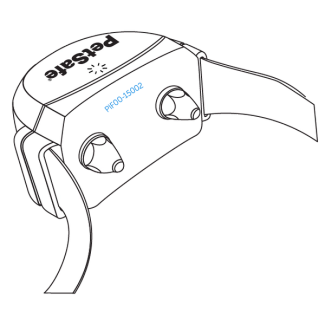 Model number near the probes