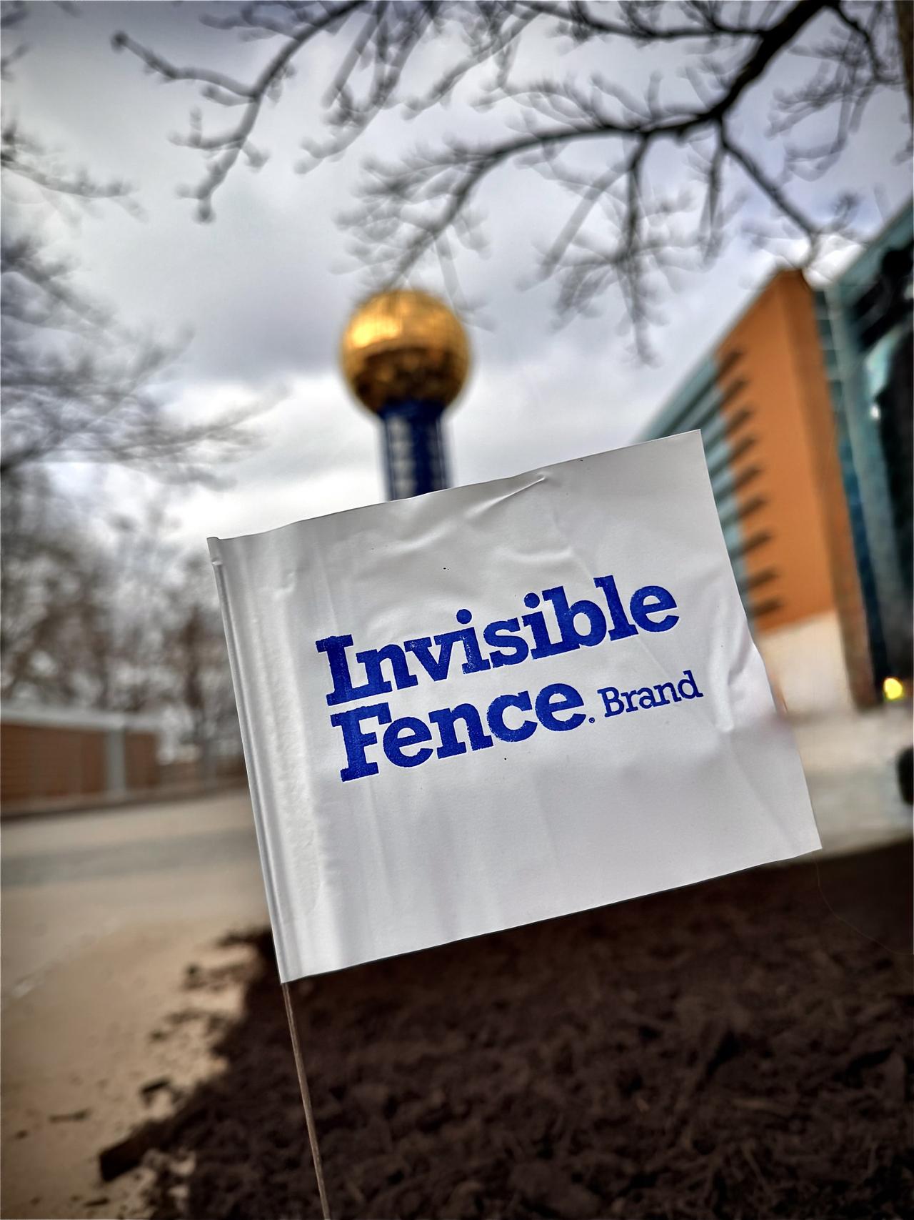 Invisible Fence flag with Knoxville sun sphere in background