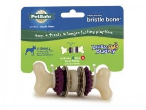 bristle bone