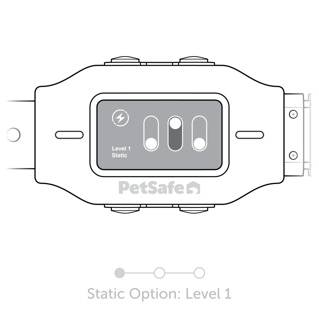 Static Level 1 Selected