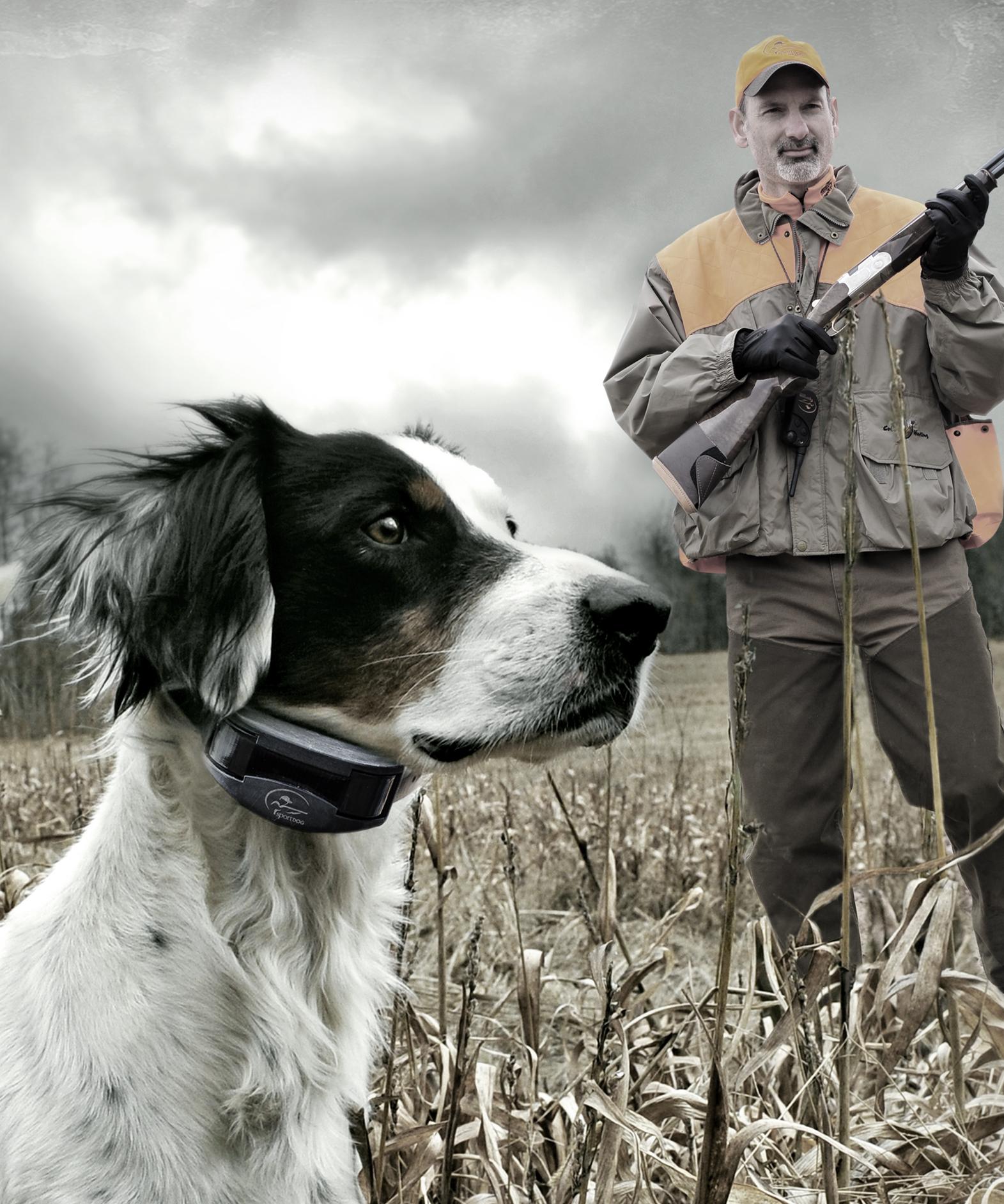 Hunting scene with setter on point and hunter in background with gun.