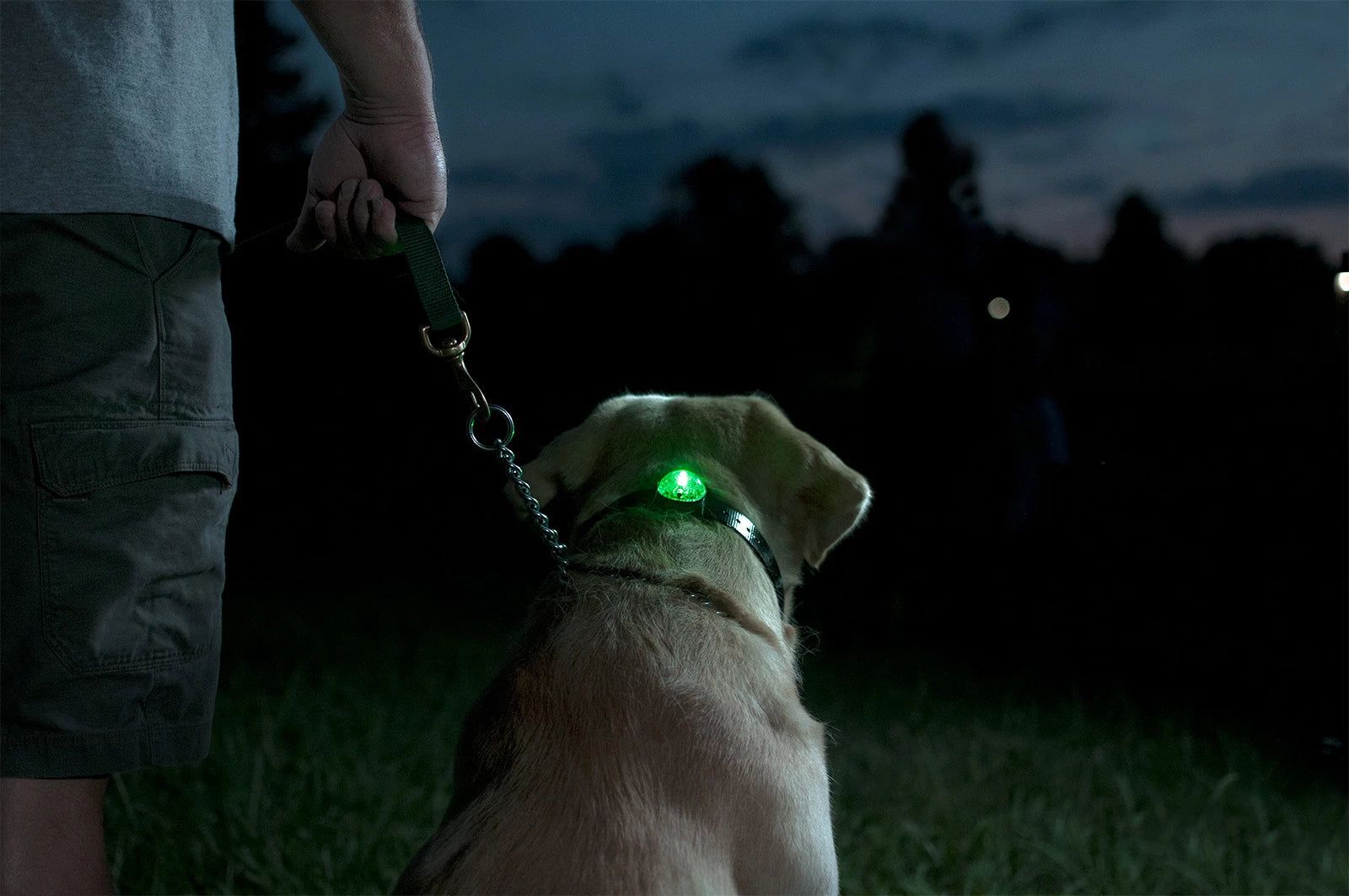 Beepers Locator Beacons For Dog Tracking