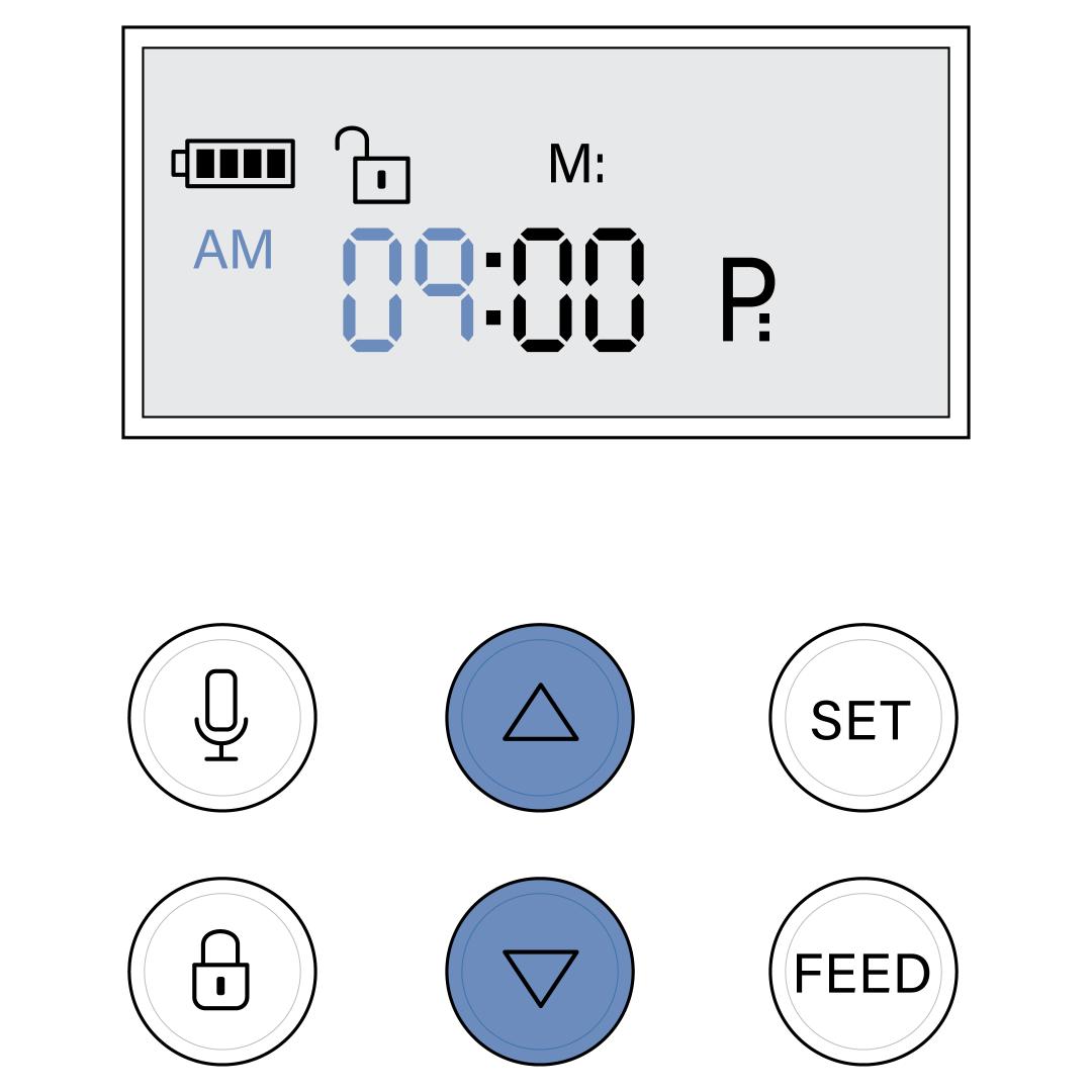 AM PM And Up Down Buttons