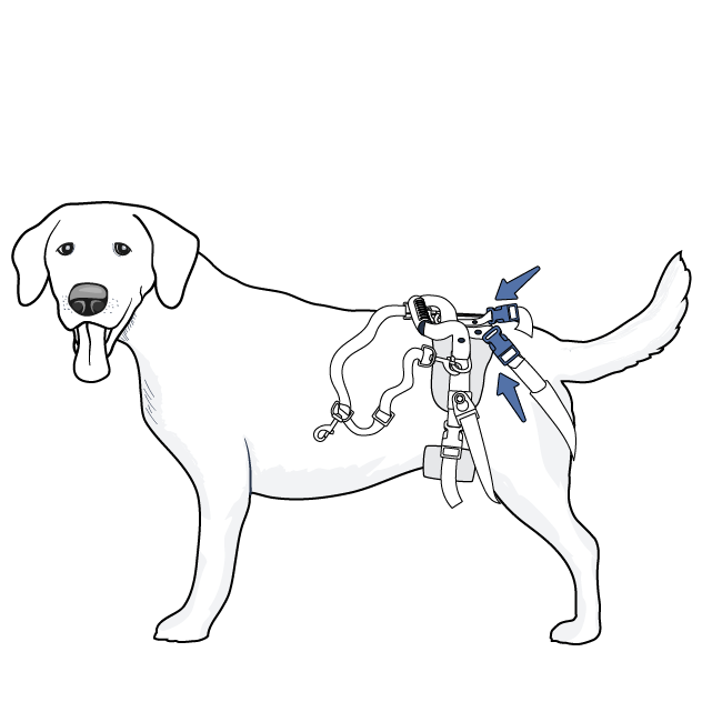 setup-care-lift-rear-support-harness-illustration3