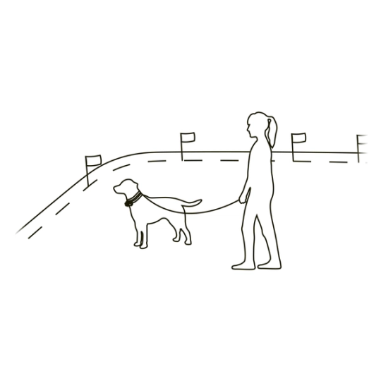 SD Common Containment_Retrain Dog To Fence