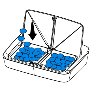 program-digital-two-meal-feeder-illustration1