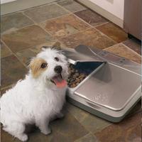 Small white dog eating from automatic pet feeder