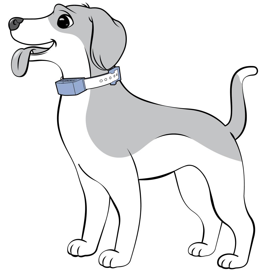 Center the Collar on Pet