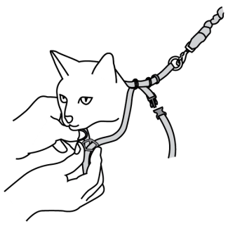 adjust-chest-come-with-me-kitty-cat-harness-bungee-leash-illustration1