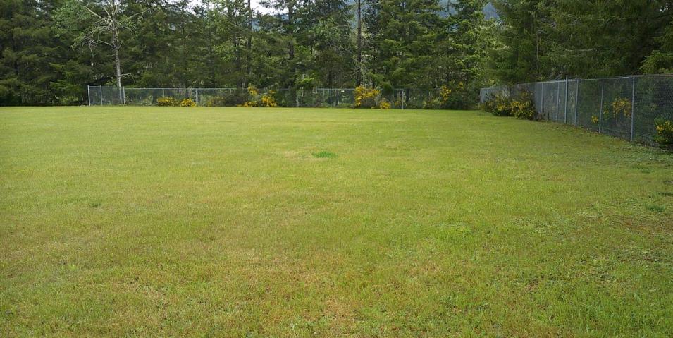 Fence-1