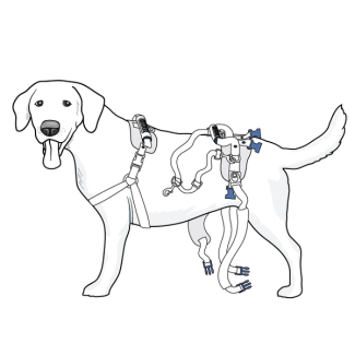 setup-rear-harness-care-lift-support-harness-illustration1