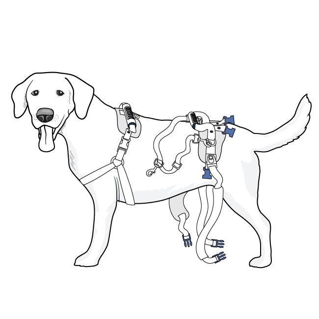 setup-rear-harness-care-lift-support-harness-illustration1