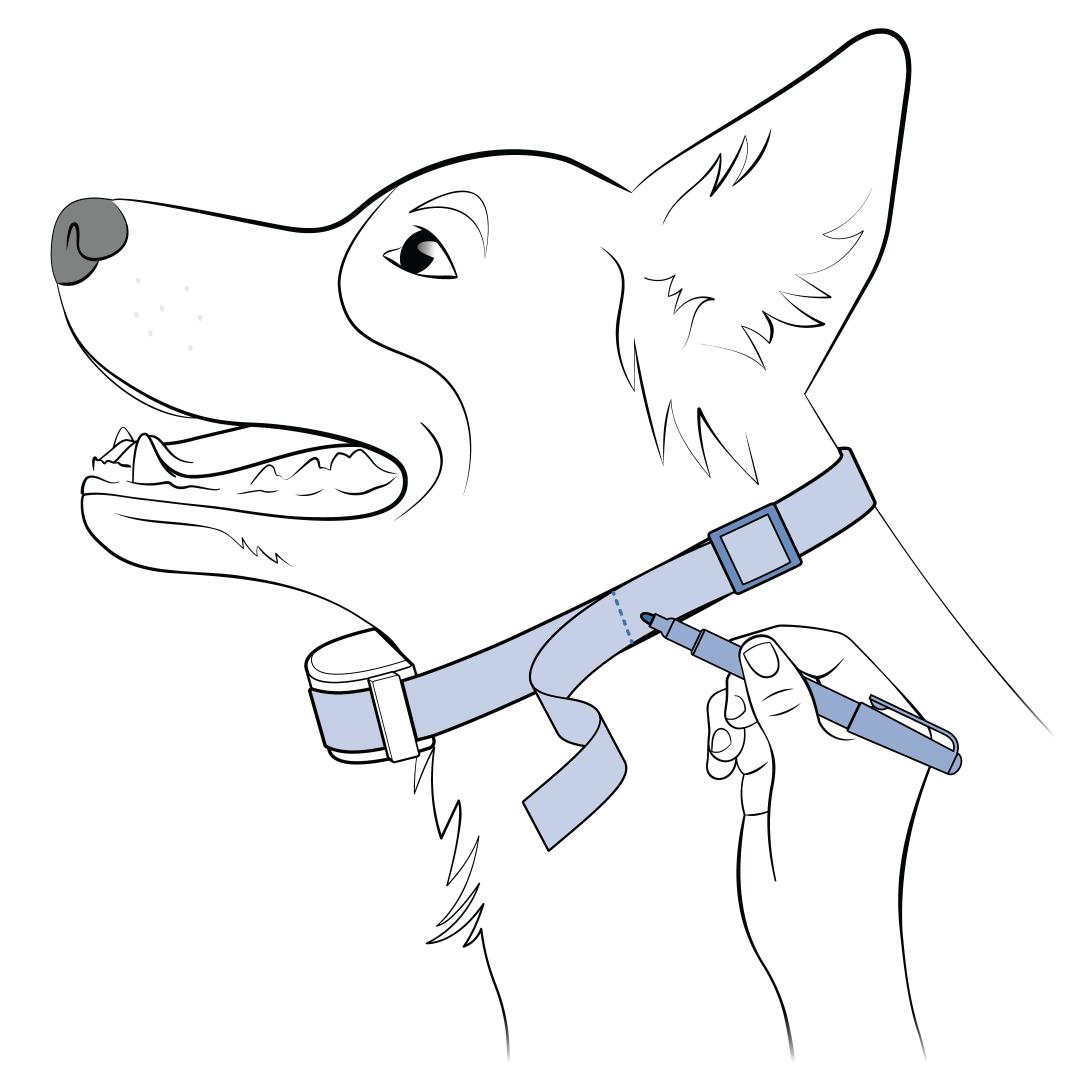 Trim Excess Strap
