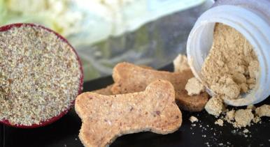 4 DIY Healthy Dog Treat Recipes 