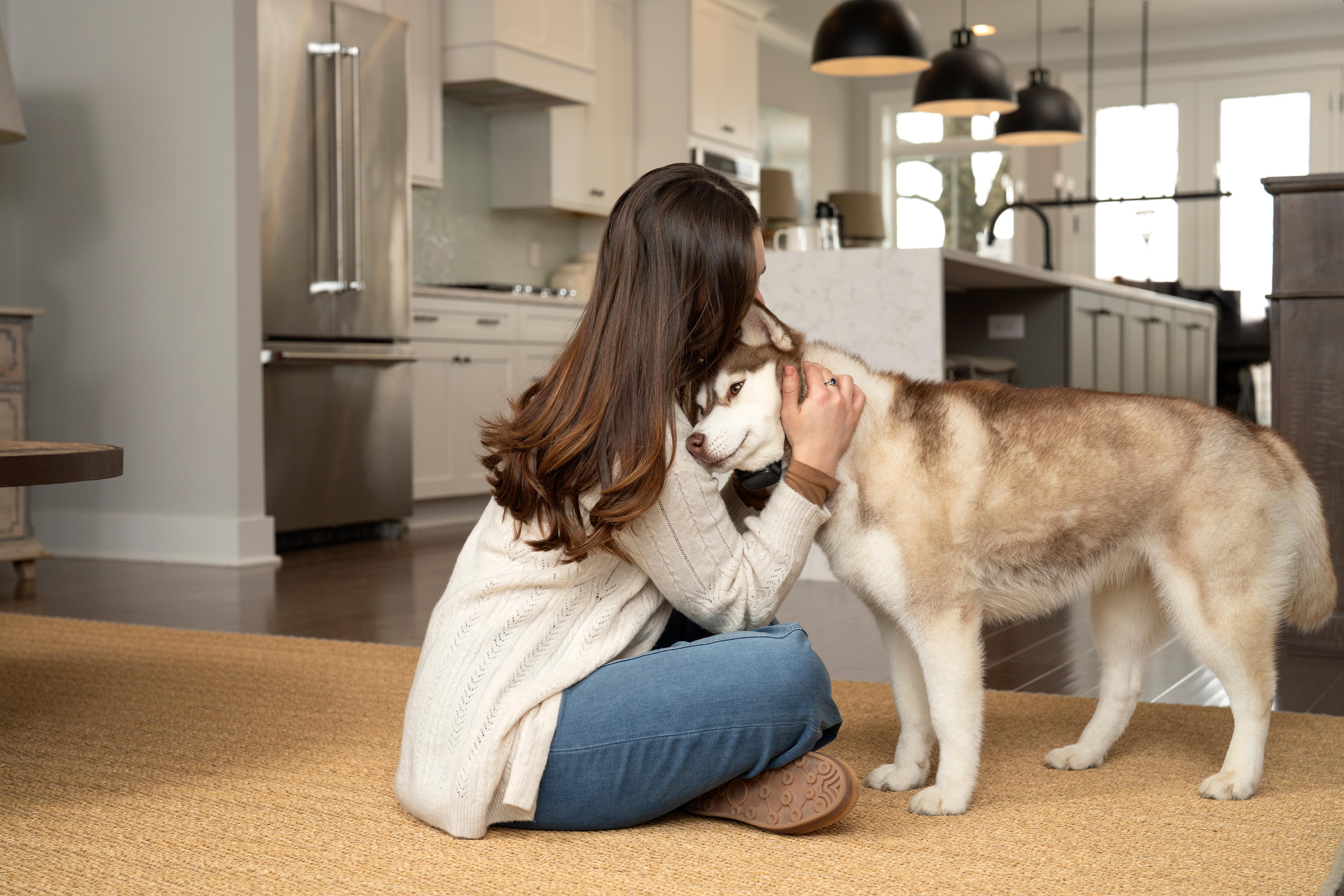 owner and new dog sharing a loving moment in the kitchen