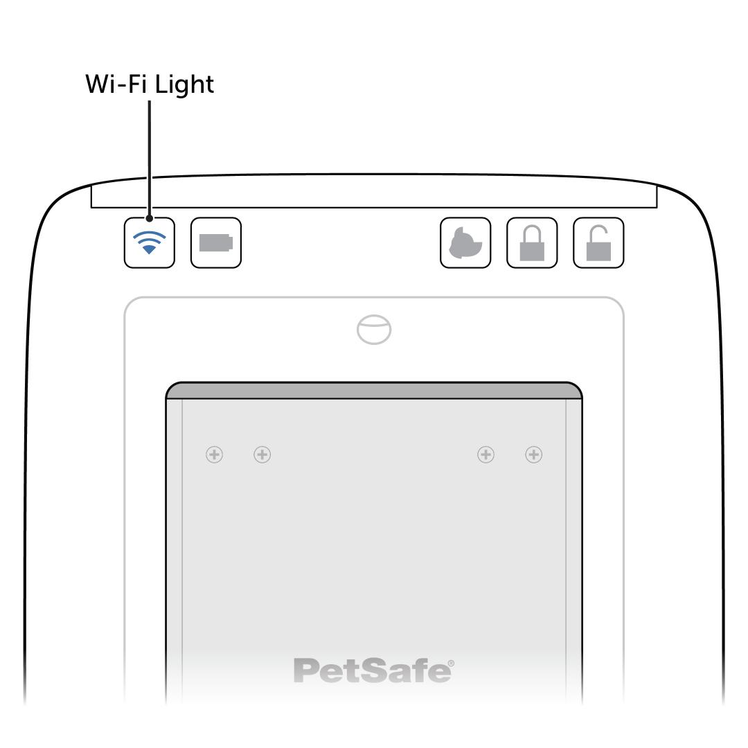 WiFi Light Flashing Blue