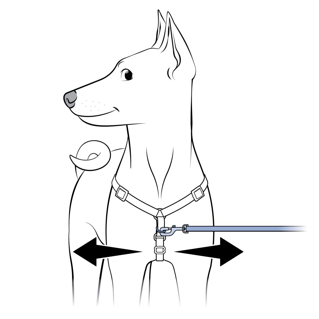 Redirect Pet