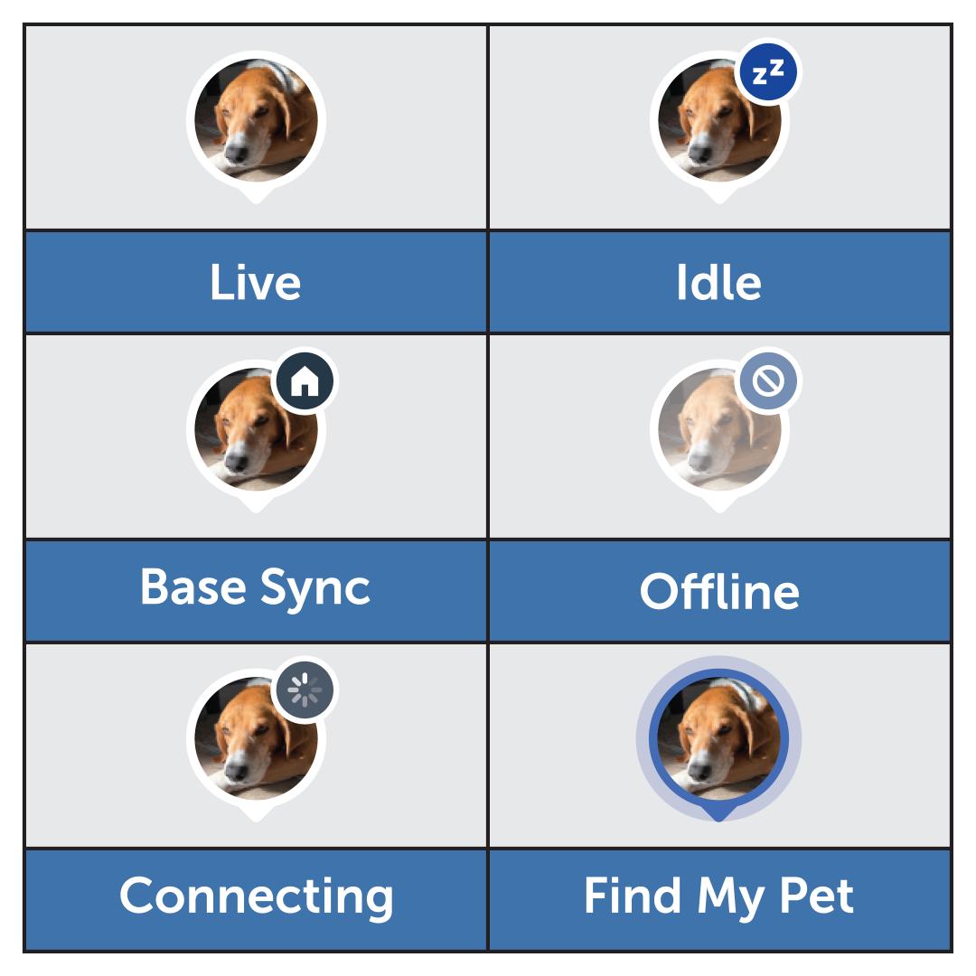 Map Avatar Variations