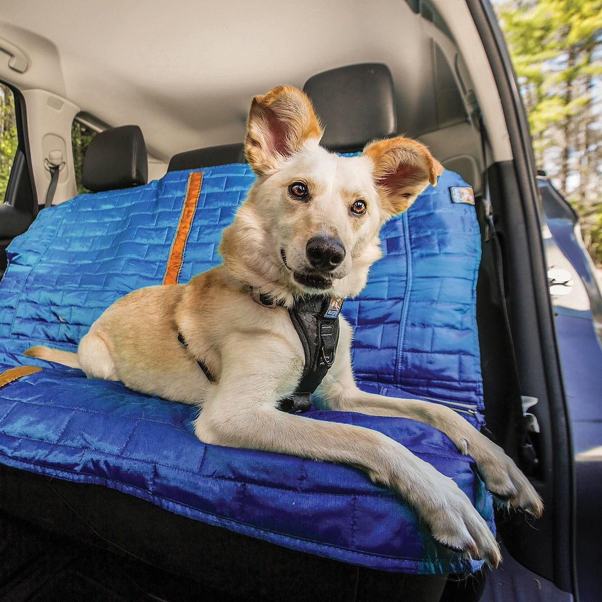Complete Seat Protection Guide - Kurgo Dog Products