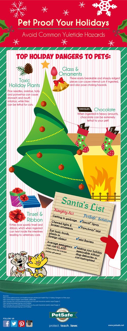Pet Proof Your Holidays infographic by PetSafe